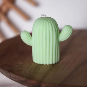 NIKI CANDLE - Cactus Vert clair