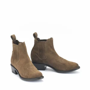 MEXICANA - Estudio Bis Brown Ante Premier